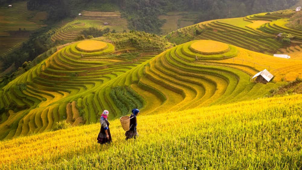 Trekking in Sapa